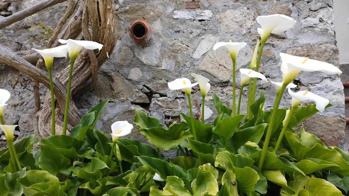 לוקה Casale Colle Belvedere